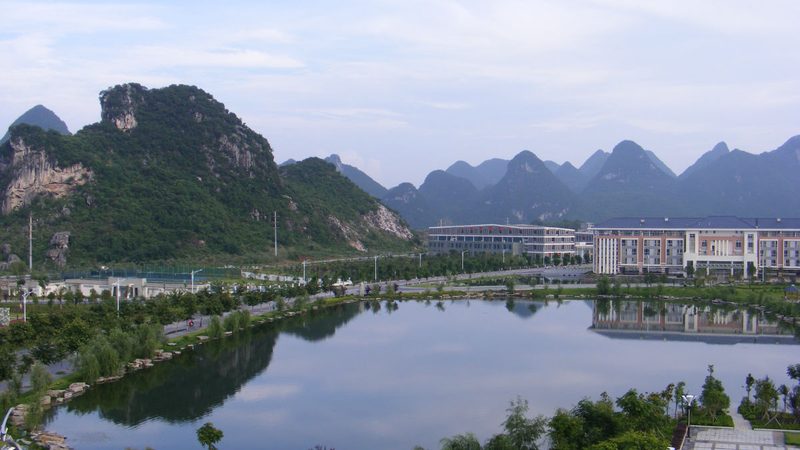 电子元器件散新货，质量可靠吗？揭秘选购真相**