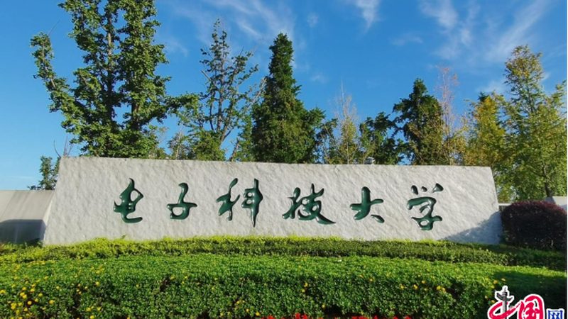电容漏电流：揭秘其重要性及选购要点**