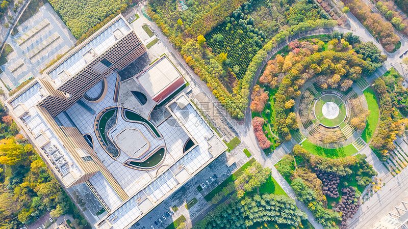 解码集成电路型号：揭秘查询技巧与要点